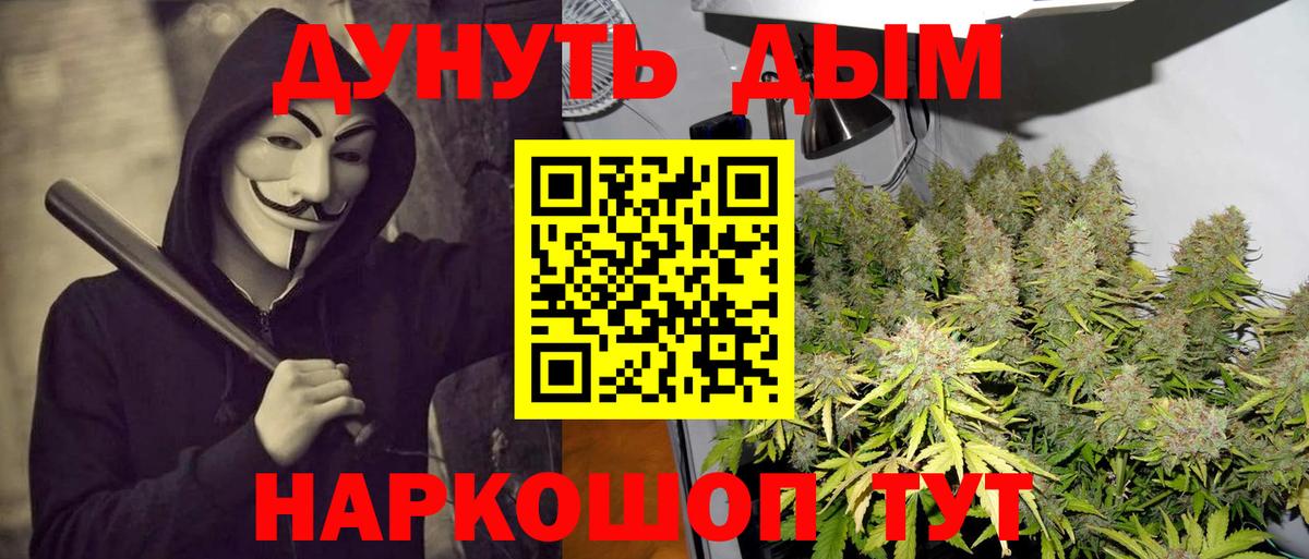 Бошки марихуана индика Лениногорск